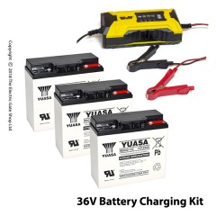 wolf smart battery charger 2a