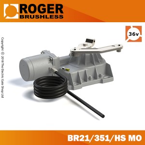 roger technology brushless br21/351/hs motor only